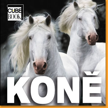 rebo_kone.jpg